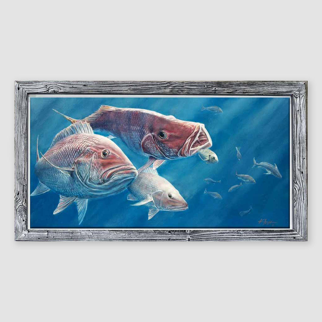 Endangered Species - American Red Snapper Wall Art – KScott Art