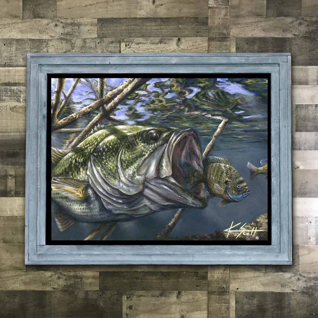 Freshwater Bass Framed Art