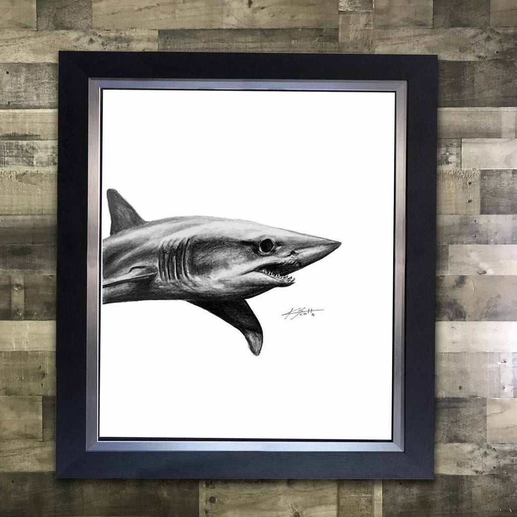 Mako Shark Framed Pencil Artwork