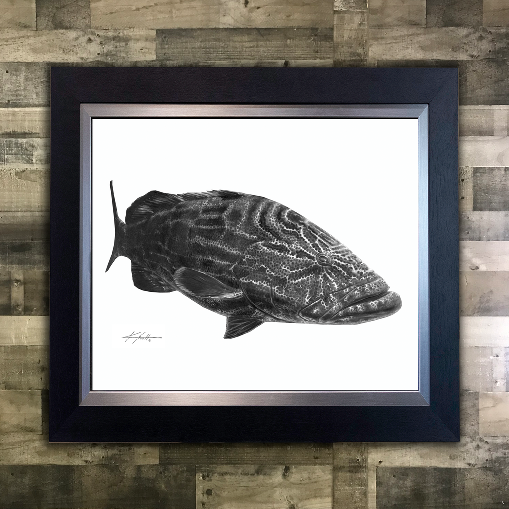 Black Grouper Pencil Art