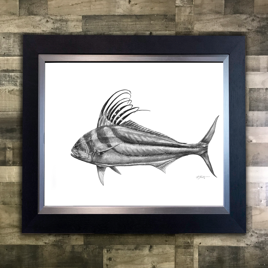 Roosterfish Pencil Art