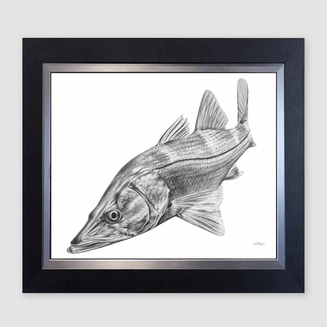 The Snook Collection