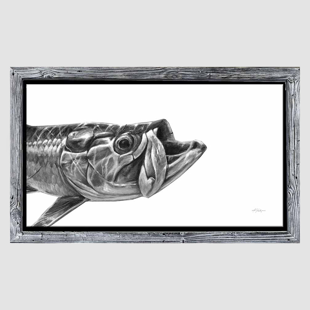 Golden Fly-Black & White Marine Artwork