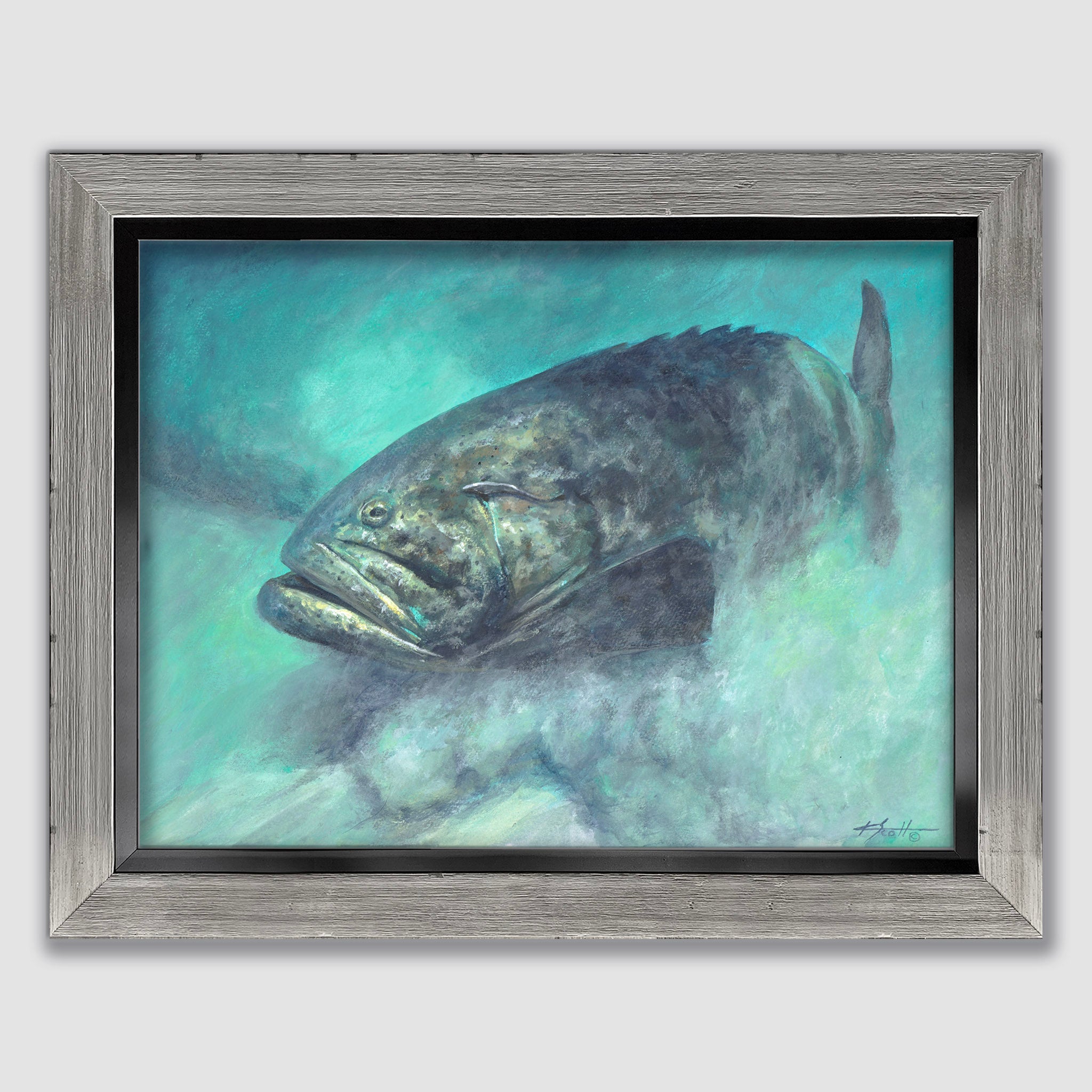 Goliath Grouper Marine Artwork – KScott Art