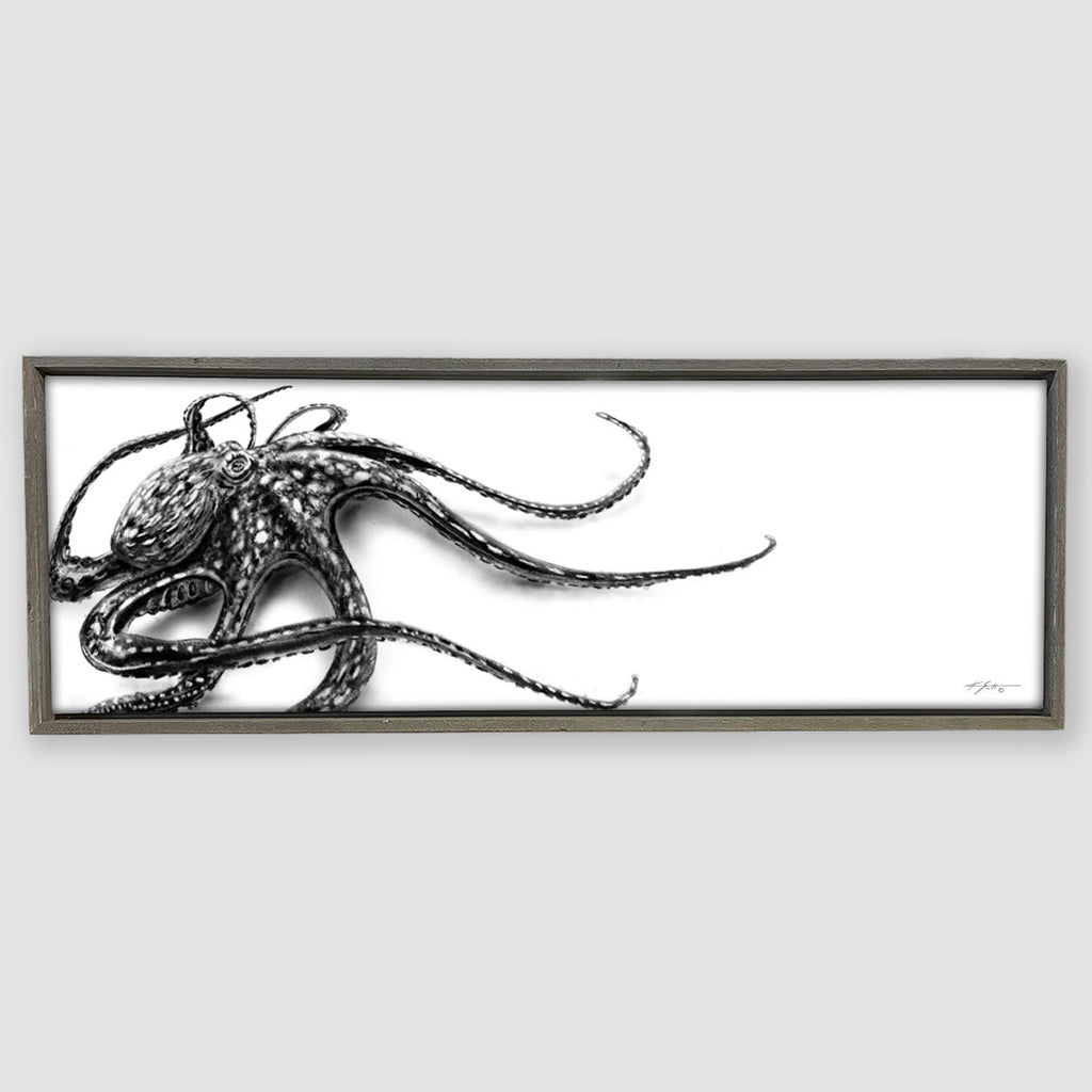 Octo Marine Artwork