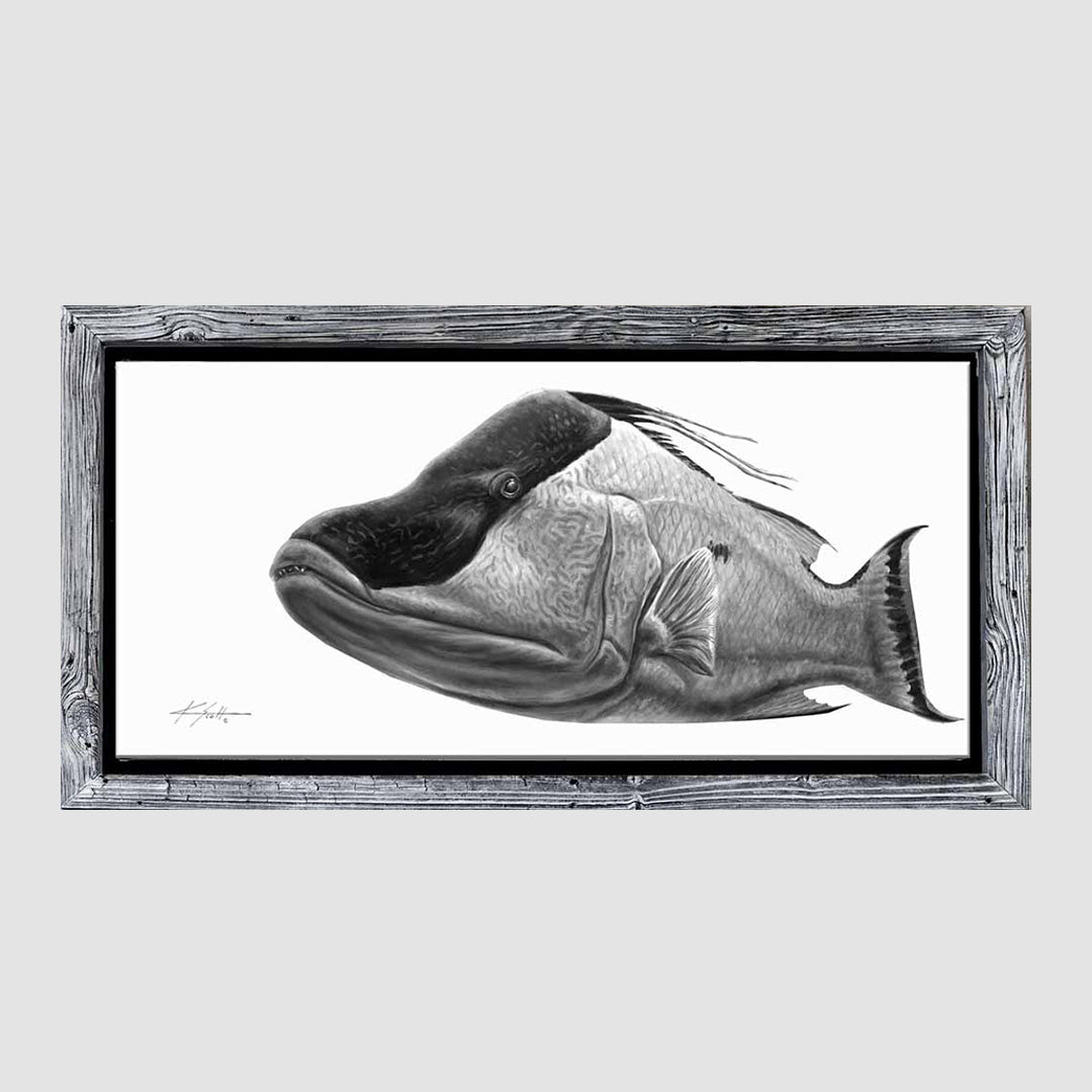 Boss Hog Black & White Marine Artwork