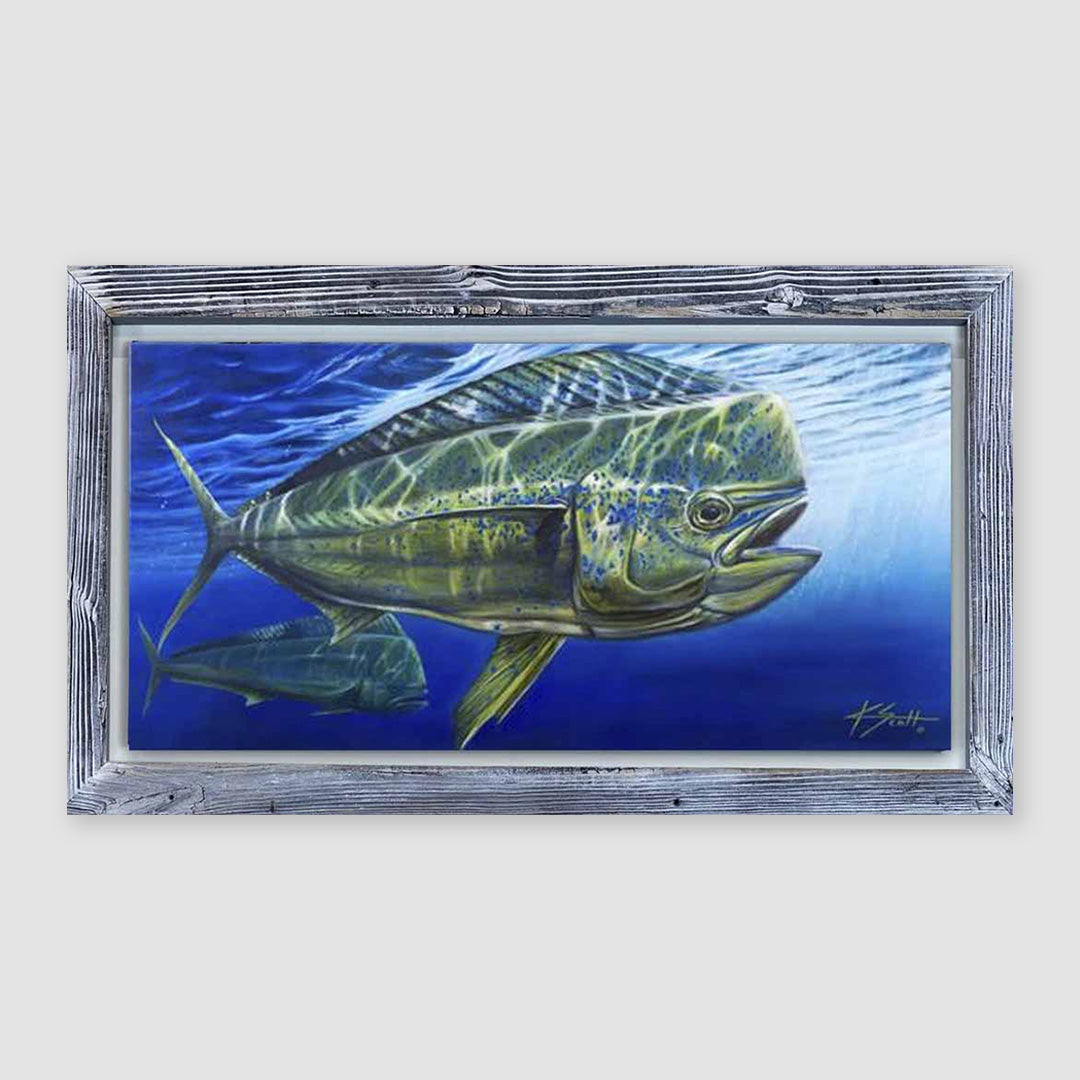 Golden Dorado Marine Artwork