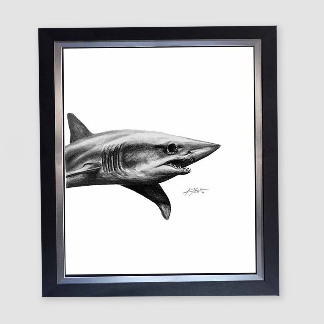 Mako Pencil Marine Artwork