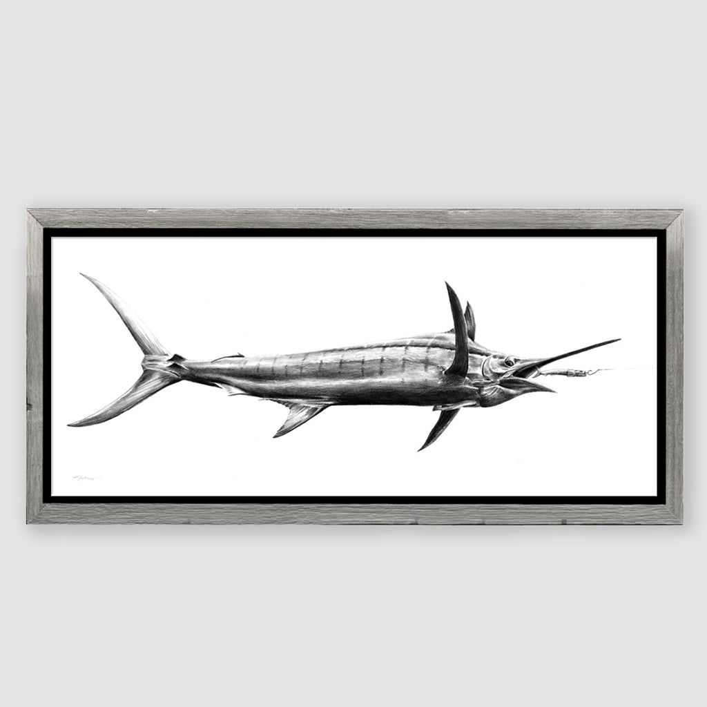 Mama's Marlin Pencil Marine Artwork