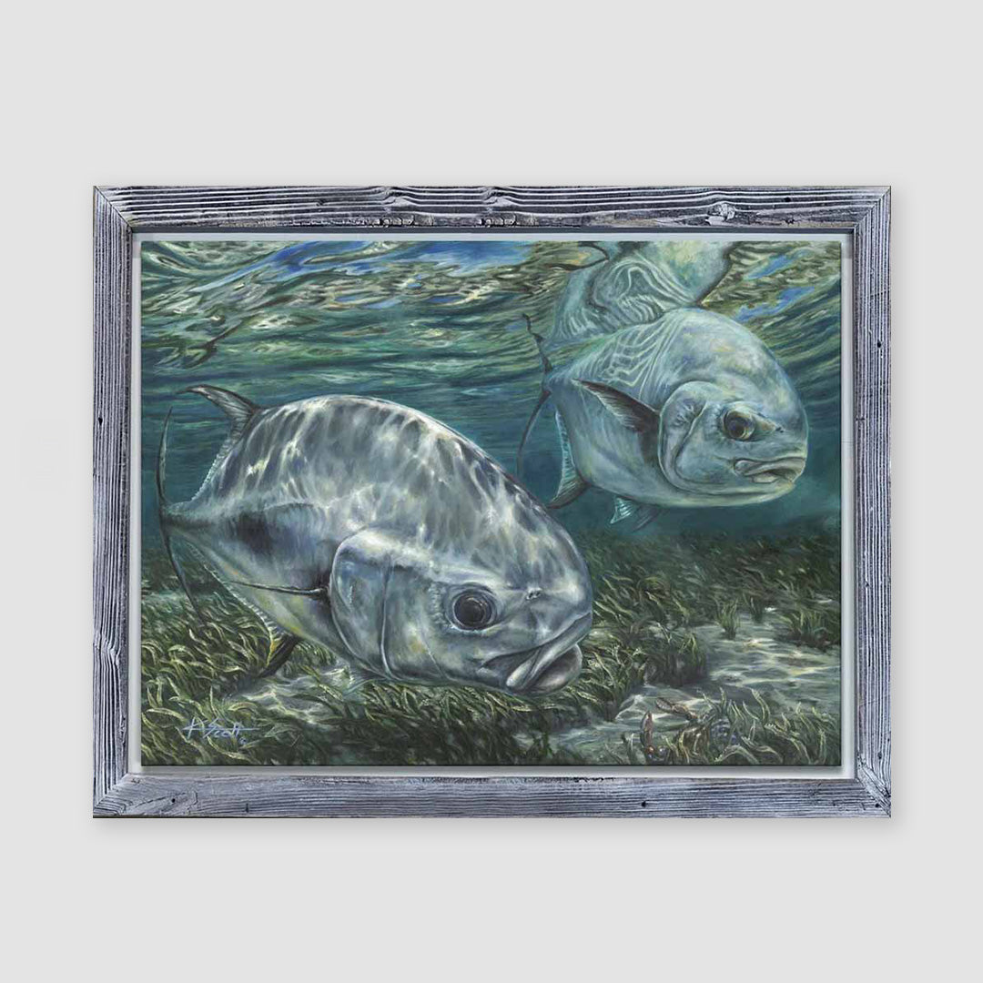 Permit to Crab Marine Artwork – KScott Art