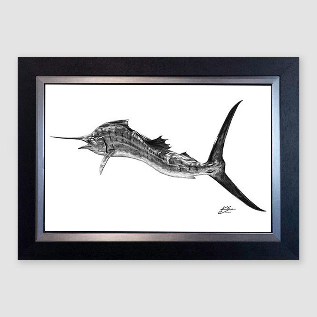 Sails Tail Pencil Marine Artwork