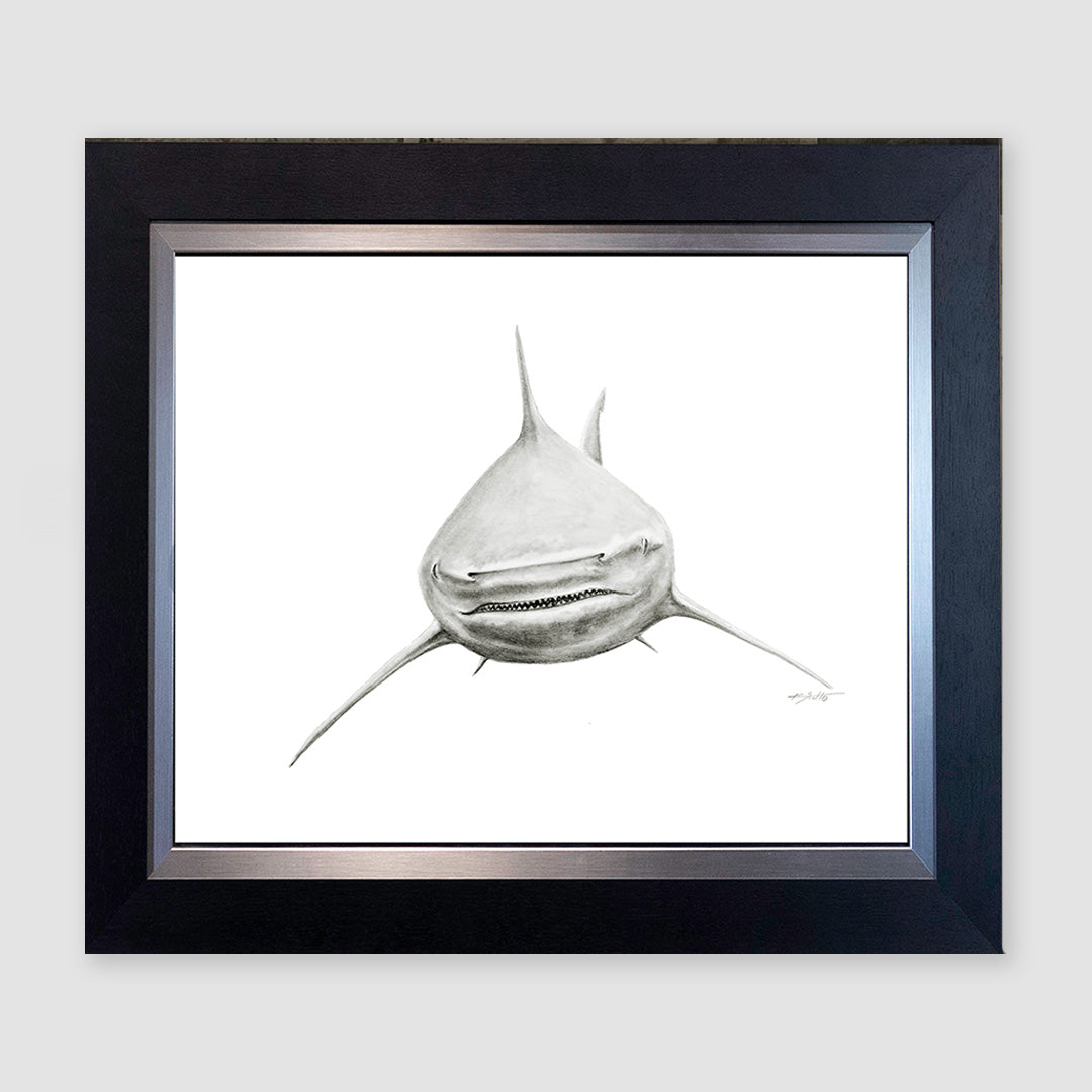 Smiley Bullshark Pencil Marine Artwork
