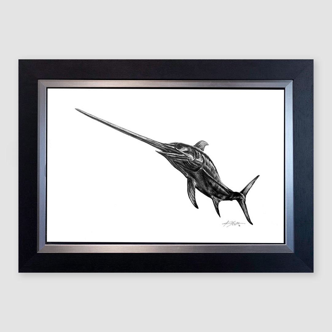 Swordfish Pencil Marine Artwork