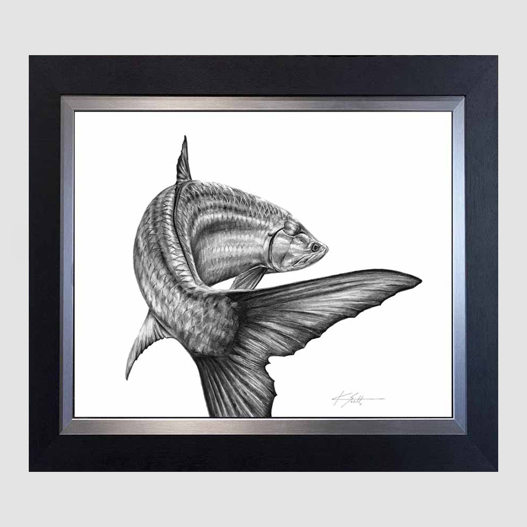 Tarpon Tail Pencil Marine Artwork