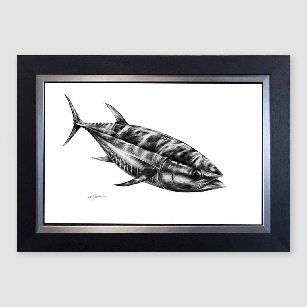 Tuna Pencil Marine Artwork