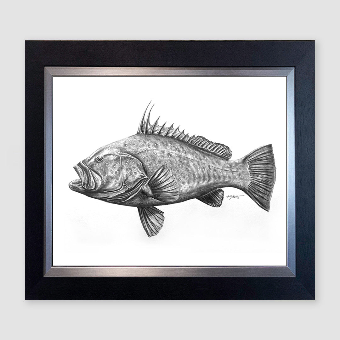 Warsaw Grouper B/W Marine Artwork