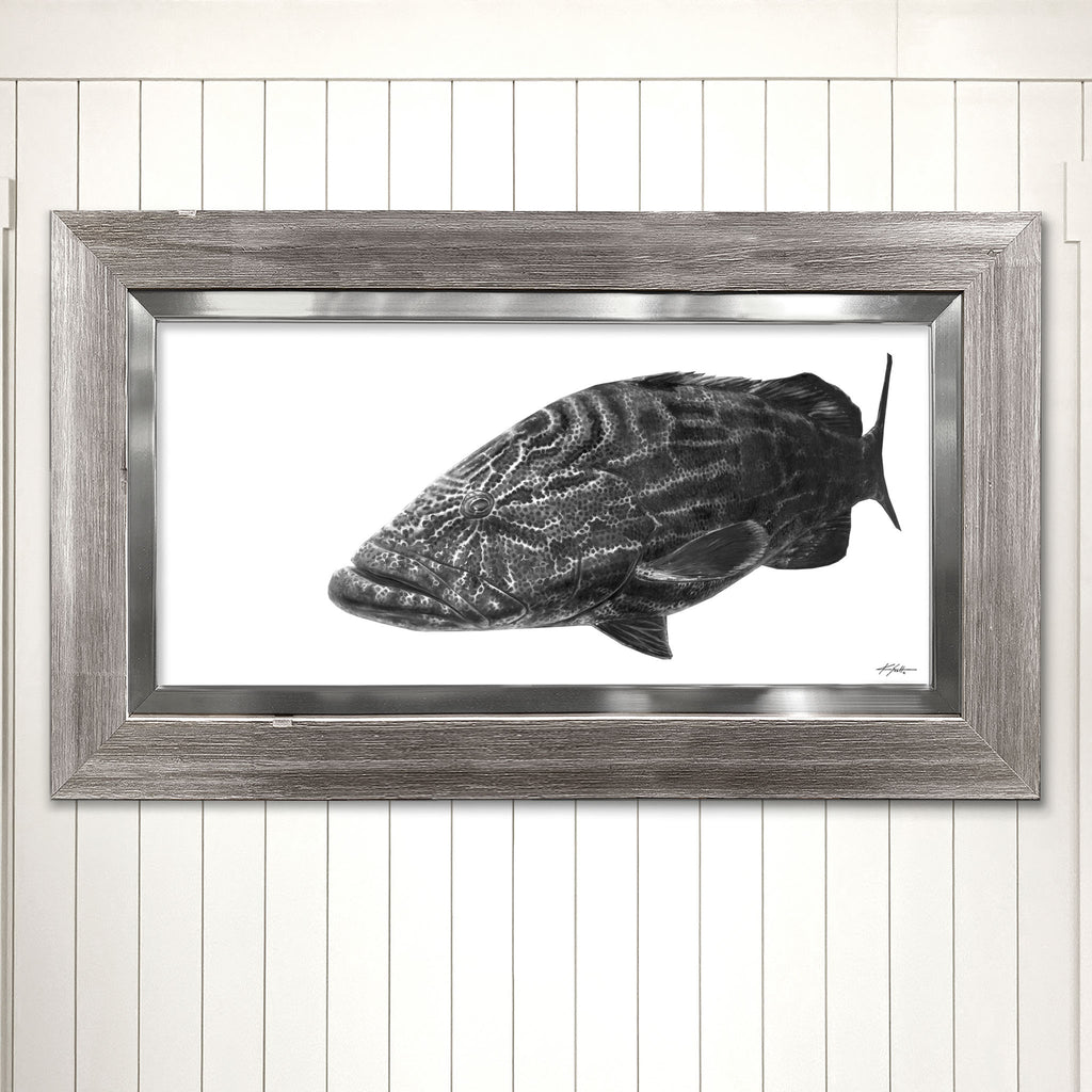 Black Grouper Offshore Artwork