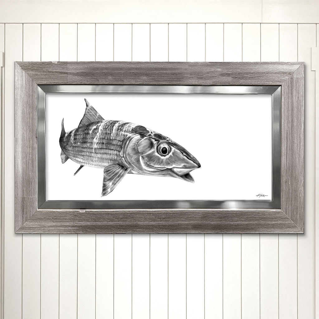 Bonefish Drawing