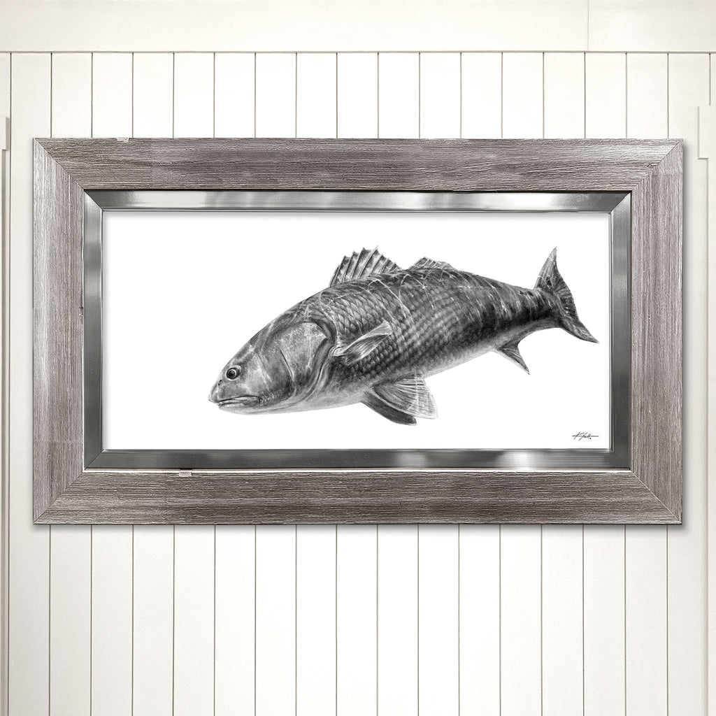 Redfish Framed Artwork