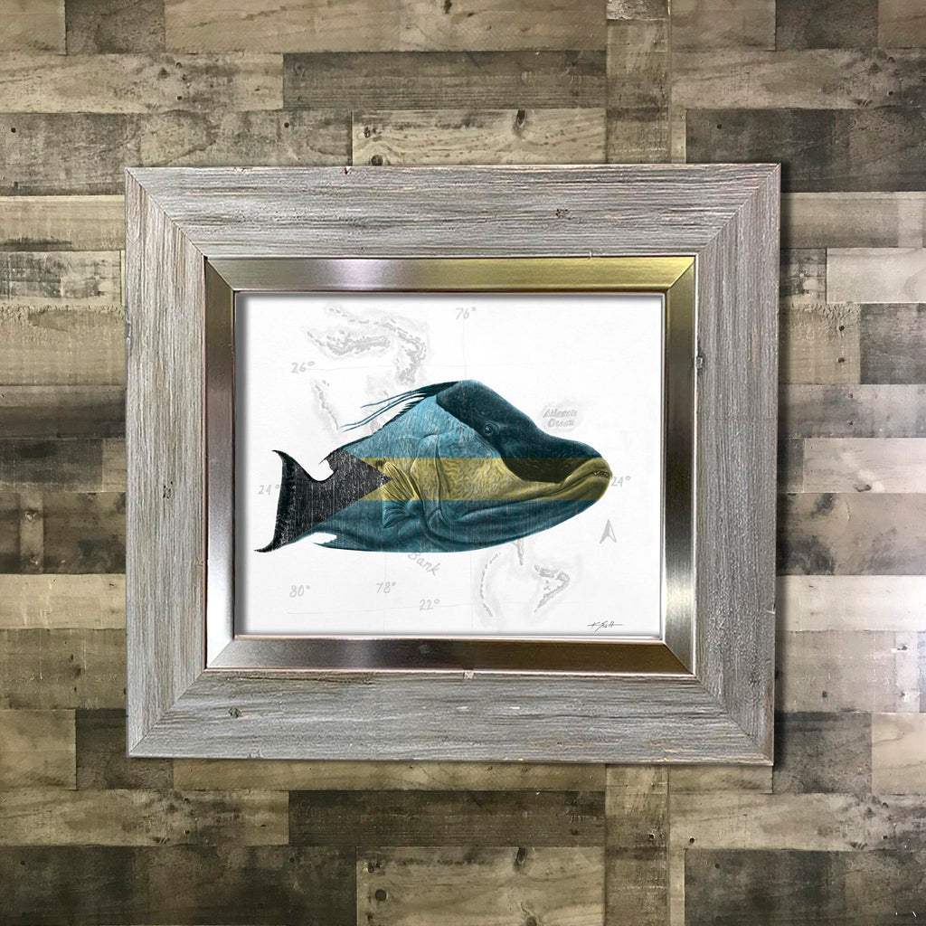 Bahama Hogfish Framed Painting