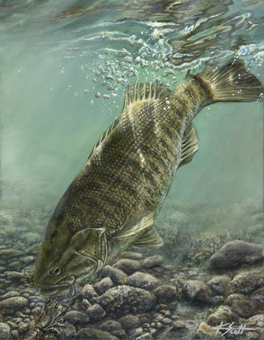 Idlewild Bar Freshwater Artwork