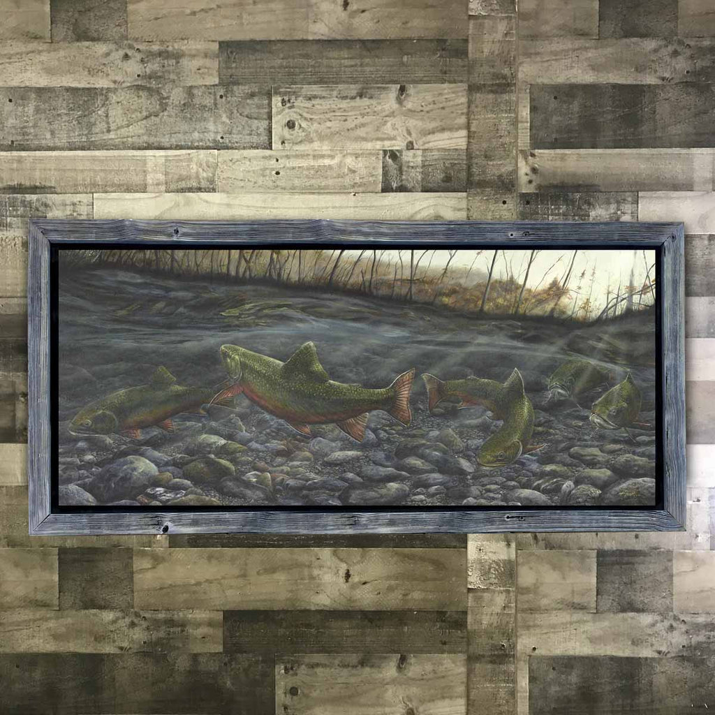 Freshwater Brook Trout Framed Artwork Prints
