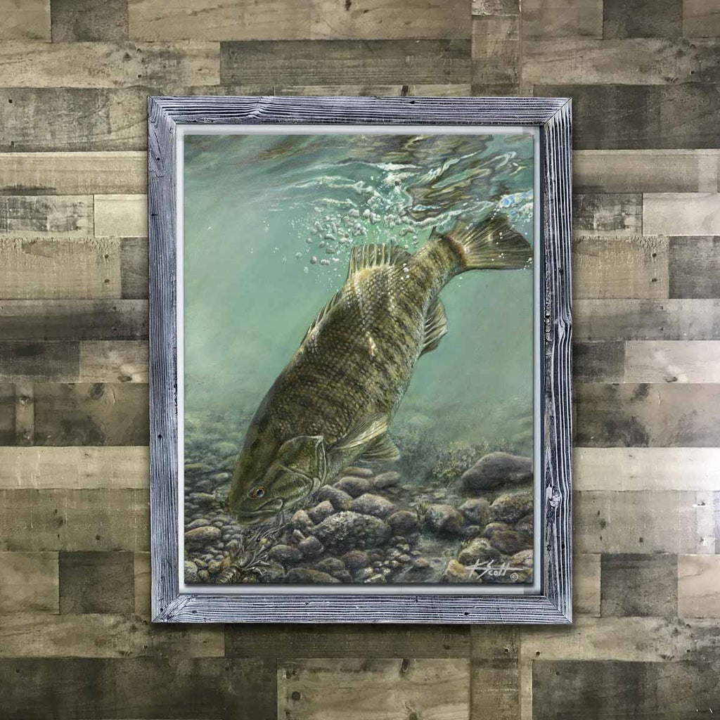 Freshwater Smallmouth Bass Framed Wall Art