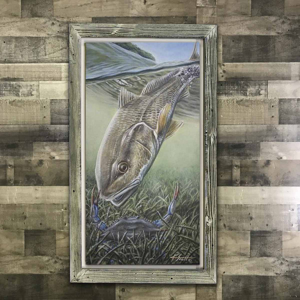 Redfish with Angry Blue Crab Canvas Painting