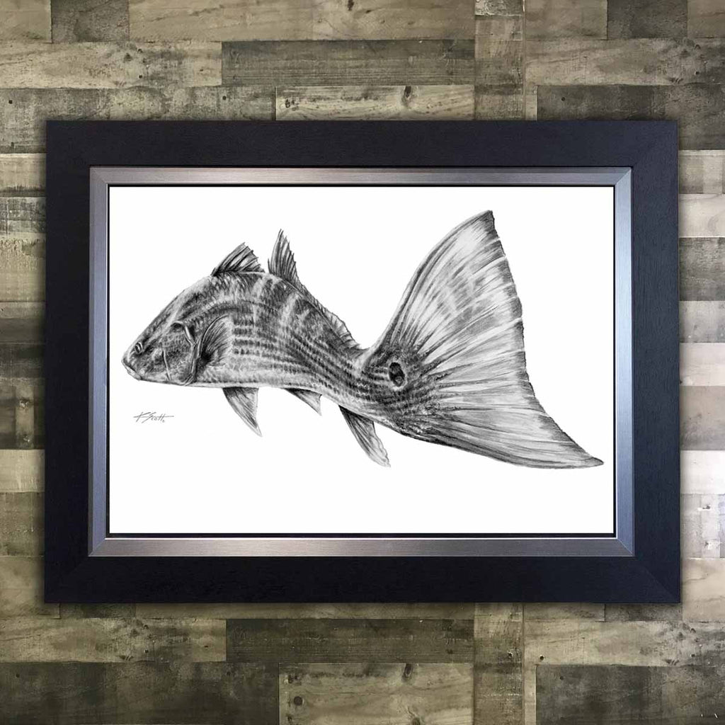 Redfish Tail Pencil Artwork
