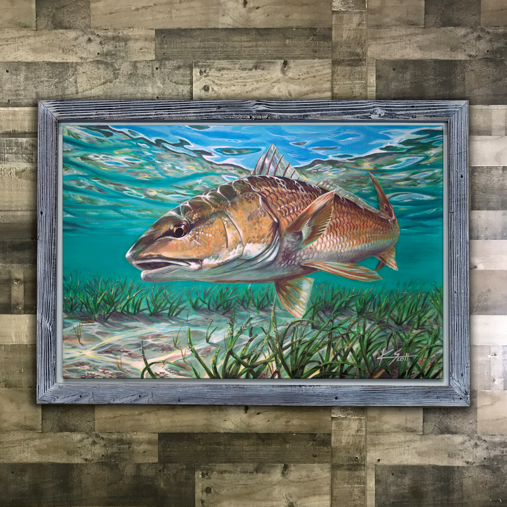 Redfish Framed Wall Art
