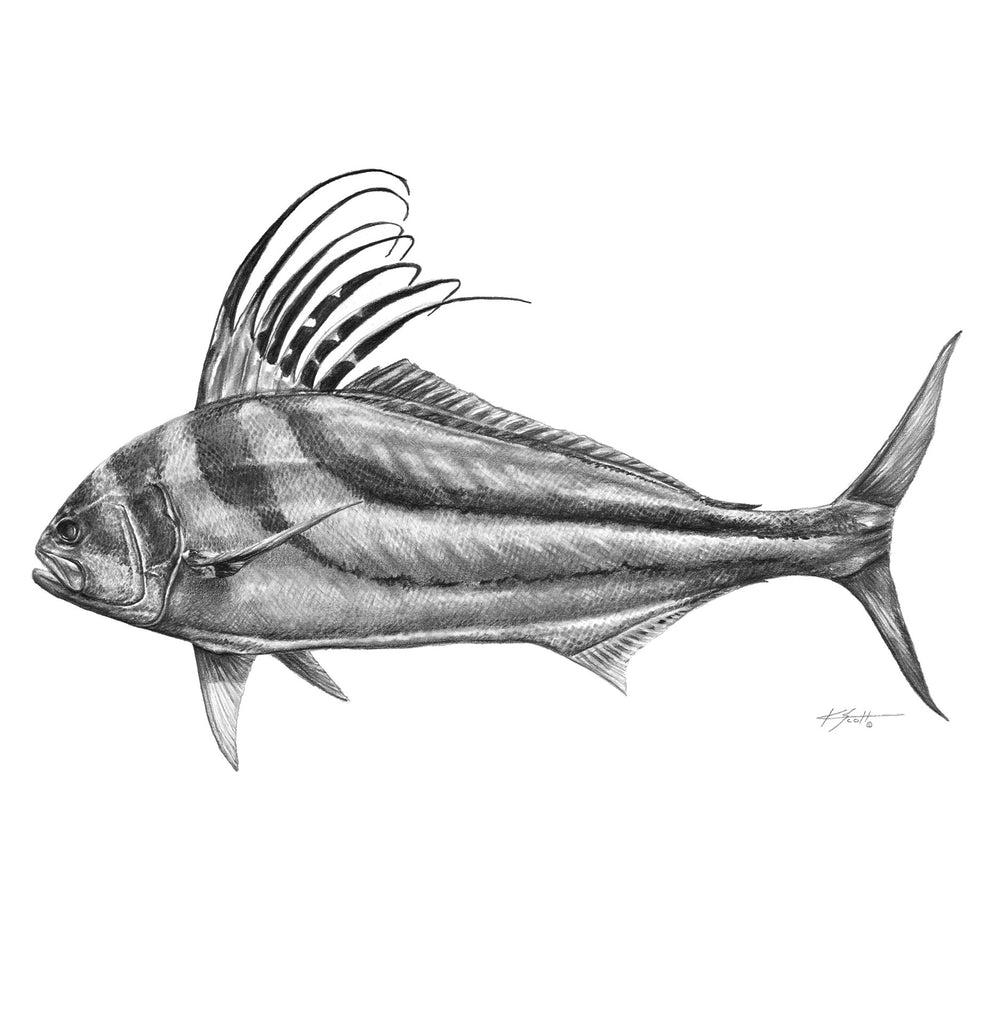 Rooster Fish Pencil