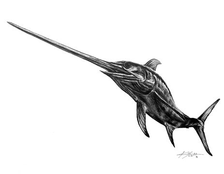 Swordfish Pencil Art