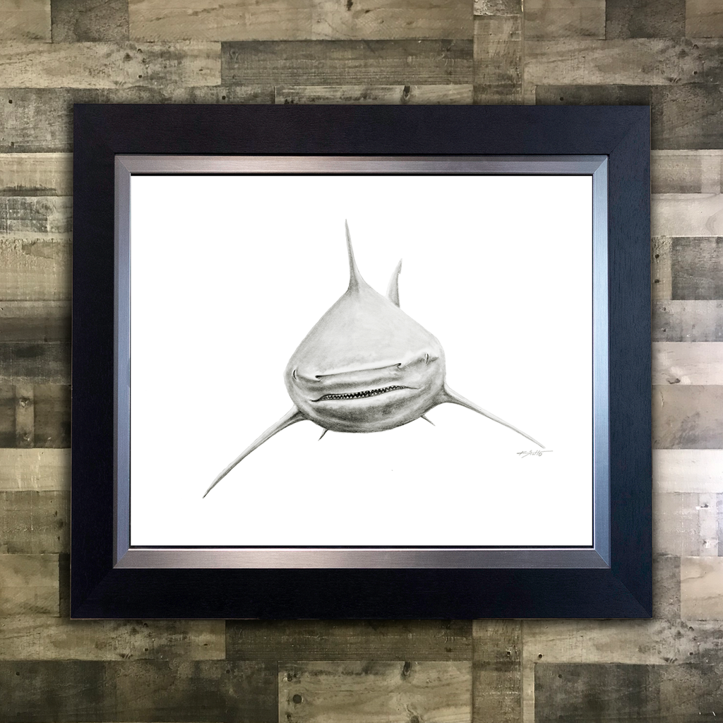 Bull Shark Pencil Art